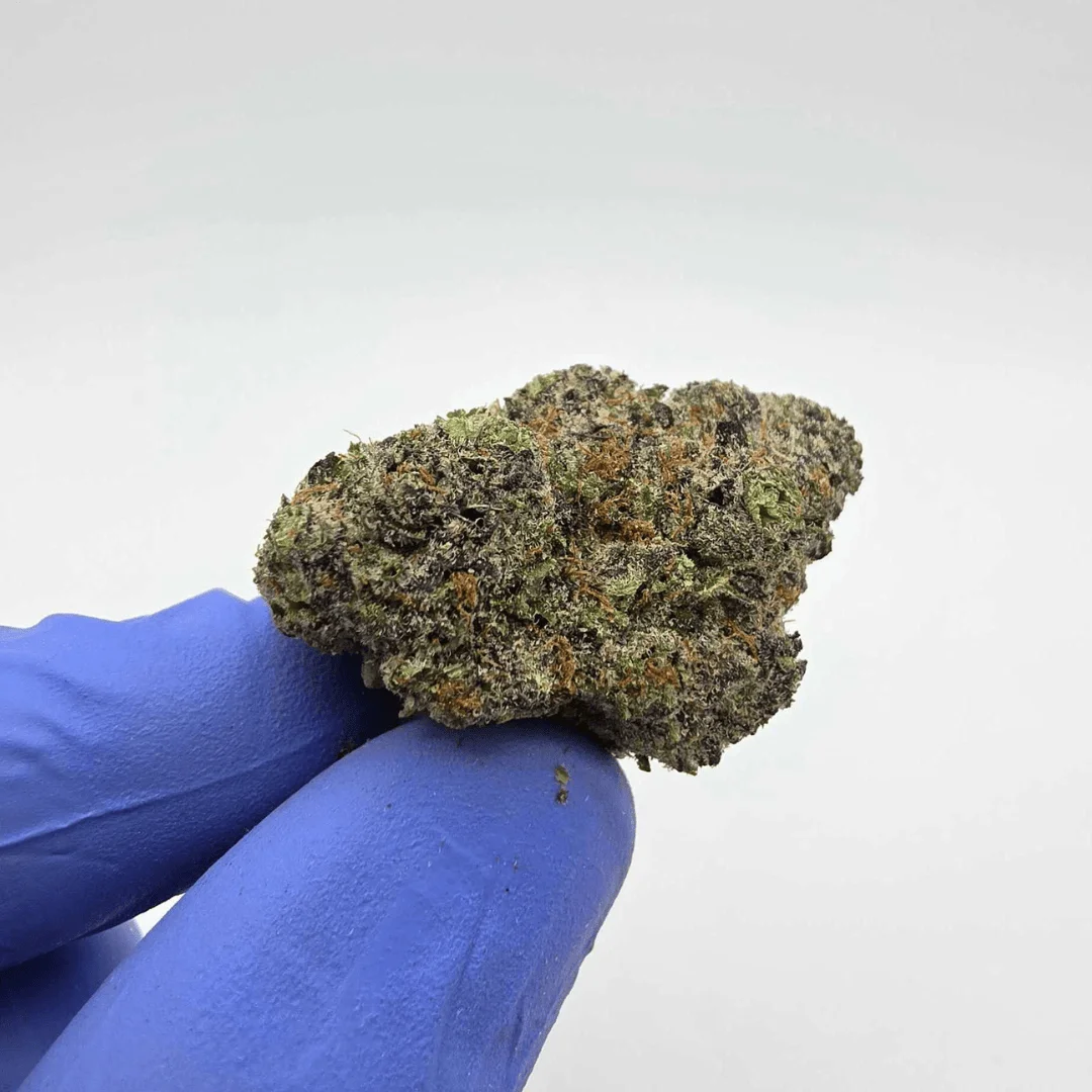 Jelly Zonut THCA Flower Australia